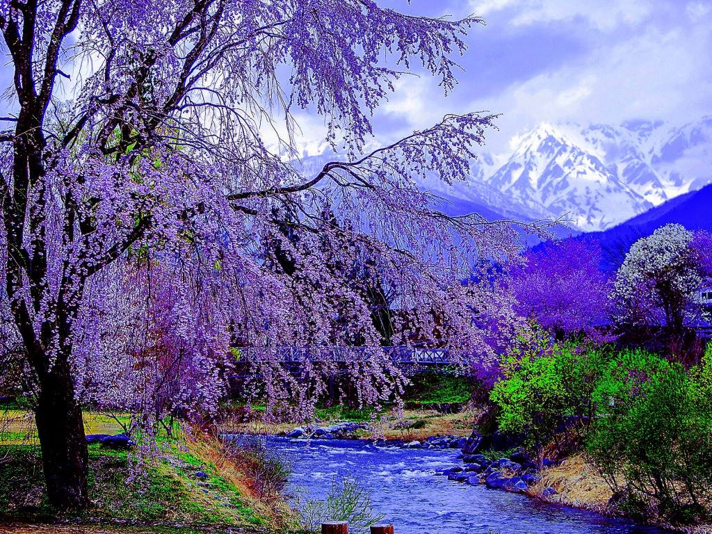 12748057_508310339353630_8030795313891091424_o