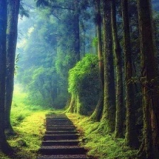 smallsquare40530784_1792996864130293_6152666730284974080_n (2)