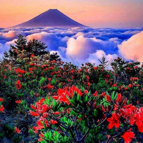 31841601_1615848978511750_201543217265508352_n